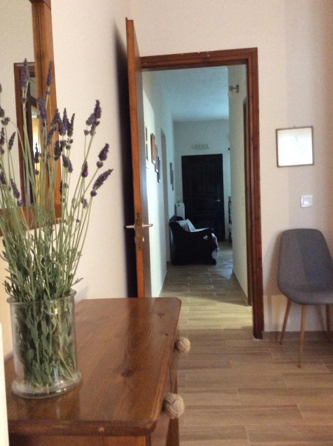 Genari Beach Apartments Levendokhórion Екстериор снимка