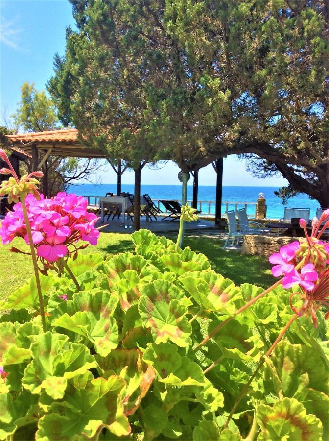 Genari Beach Apartments Levendokhórion Екстериор снимка